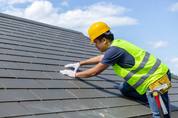 Best Roof Gutter Cleaning  in Pleasantville, IA